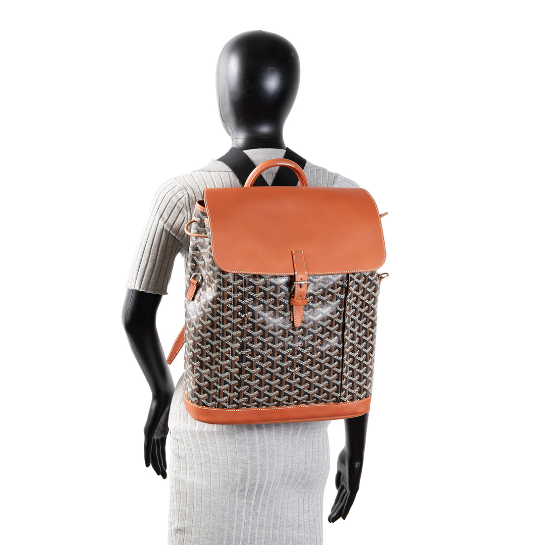 GOYARD Goyardine Calfskin Alpin MM Backpack