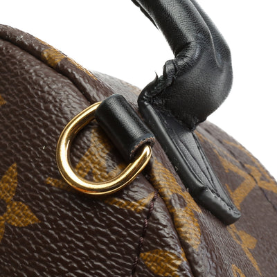 LOUIS VUITTON Monogram Mini Palm Springs Backpack