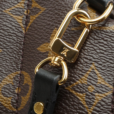 LOUIS VUITTON Monogram Mini Palm Springs Backpack