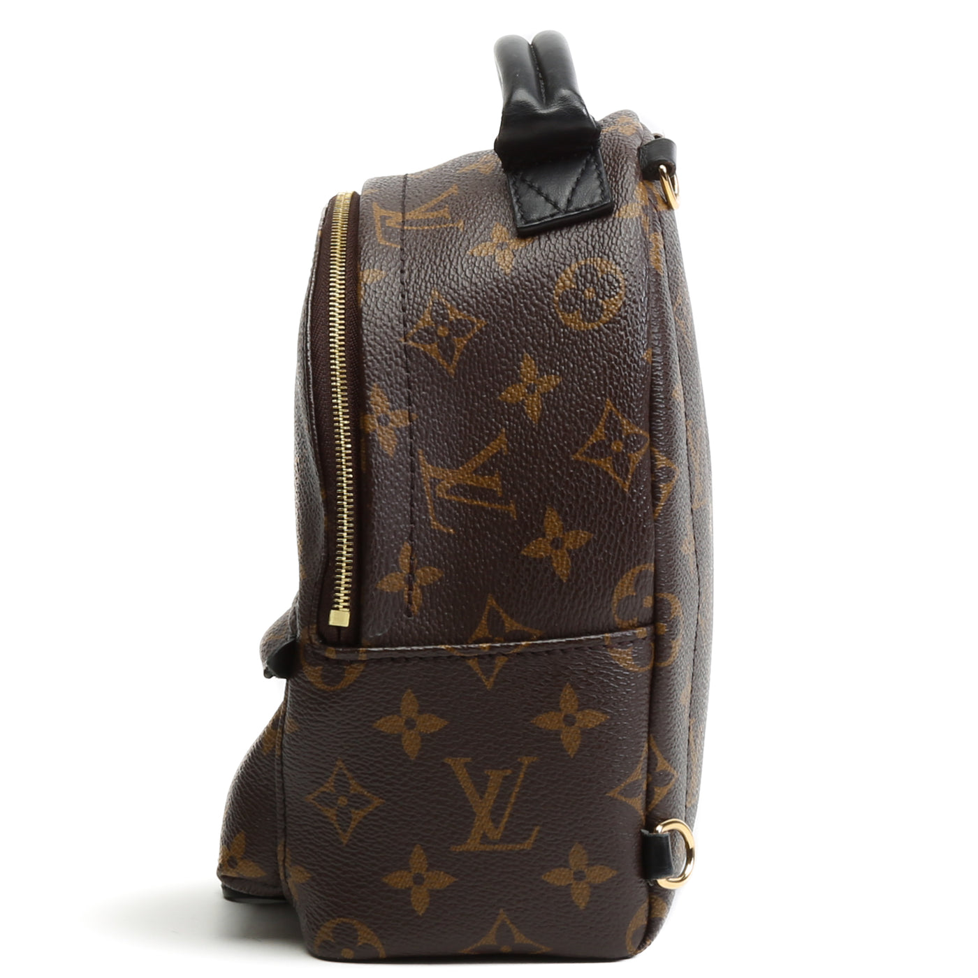 LOUIS VUITTON Monogram Mini Palm Springs Backpack