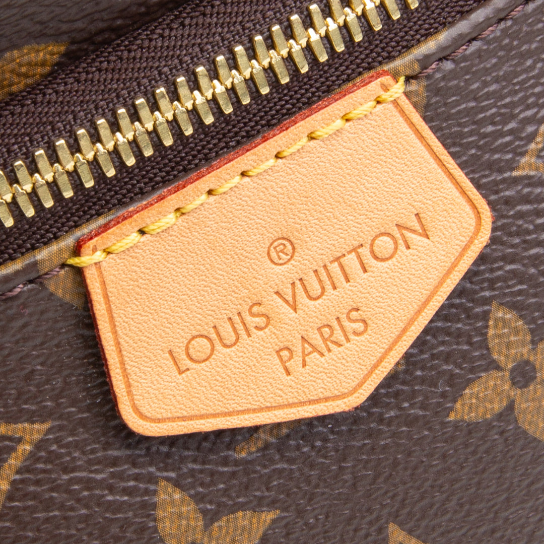 LOUIS VUITTON Bumbag