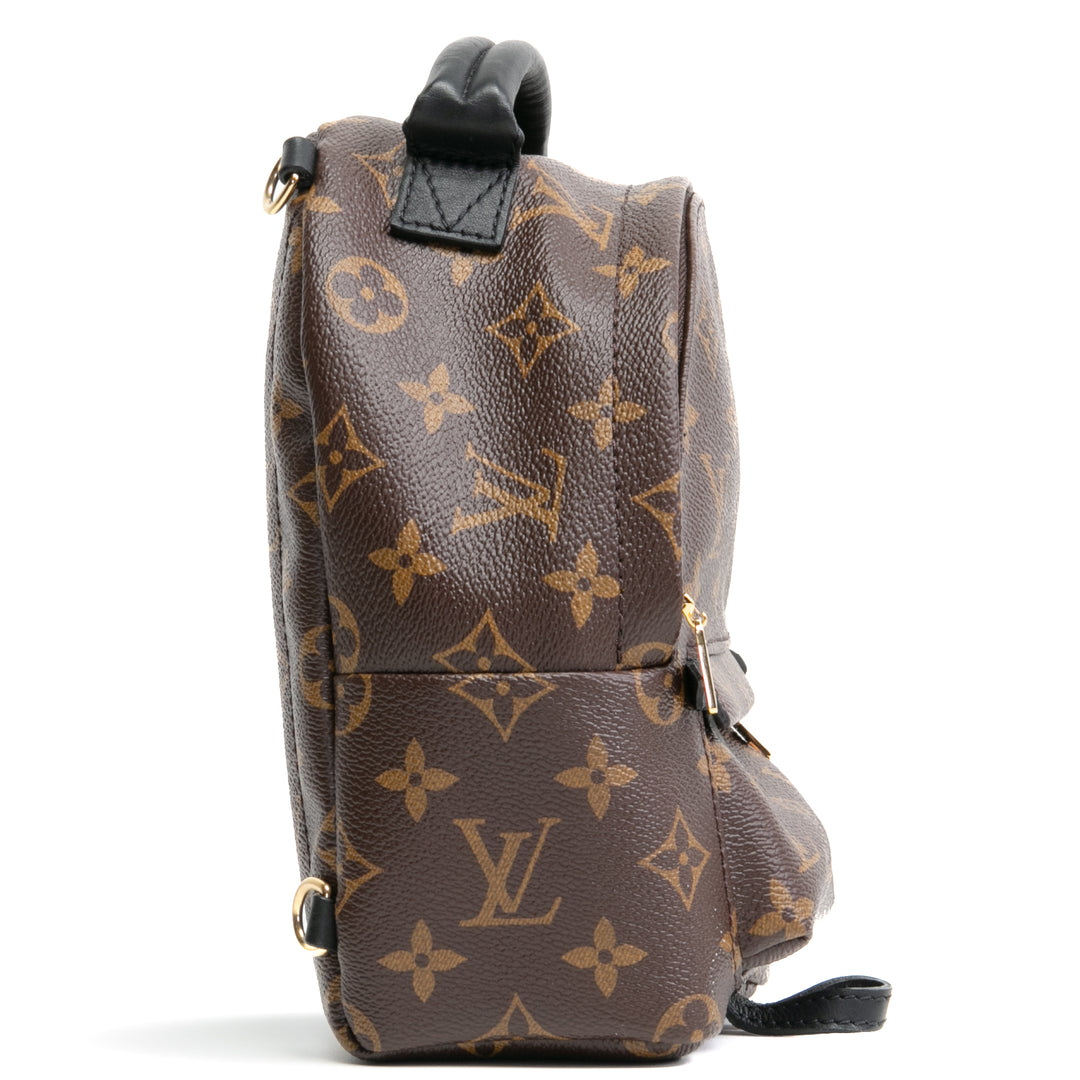 LOUIS VUITTON Palm Springs Mini Backpack